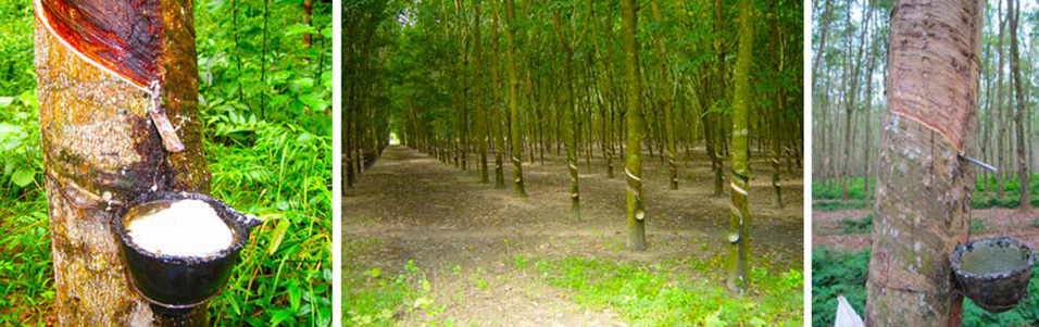 slide9d363dcb14bb43e791635c380aa52a8a2